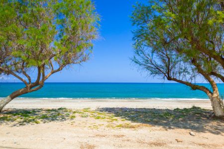 nearby beach